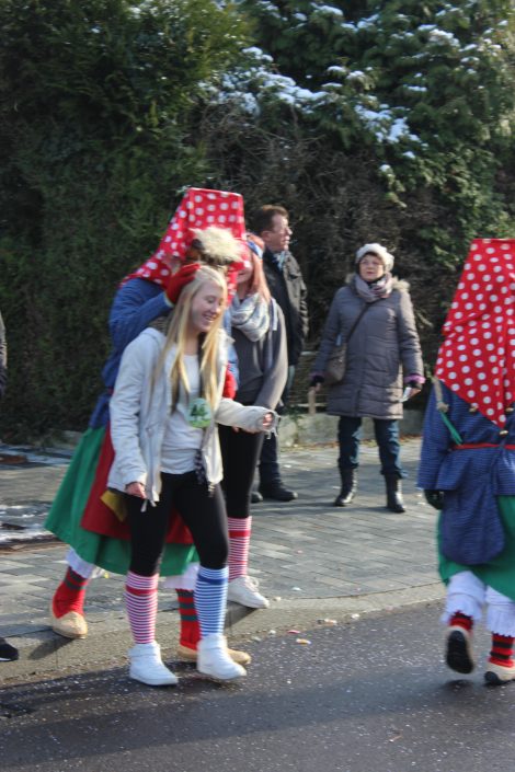 Umzug Goldscheuer 2016 - Bild 101